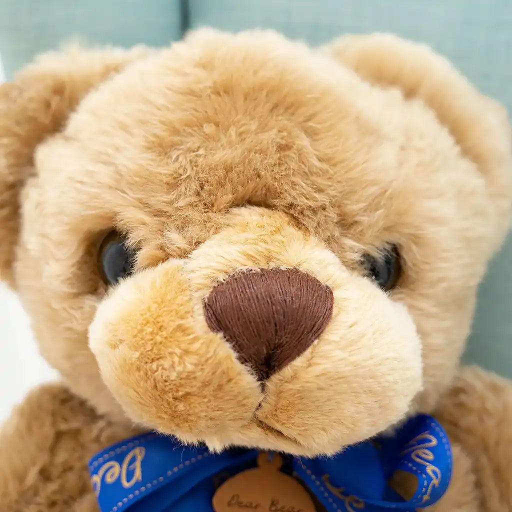 Peluche Oso con Lazo – 70 a 90 cm