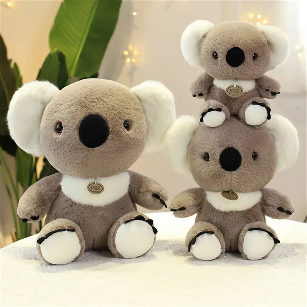 Kawaii Koala Plush - 25cm
