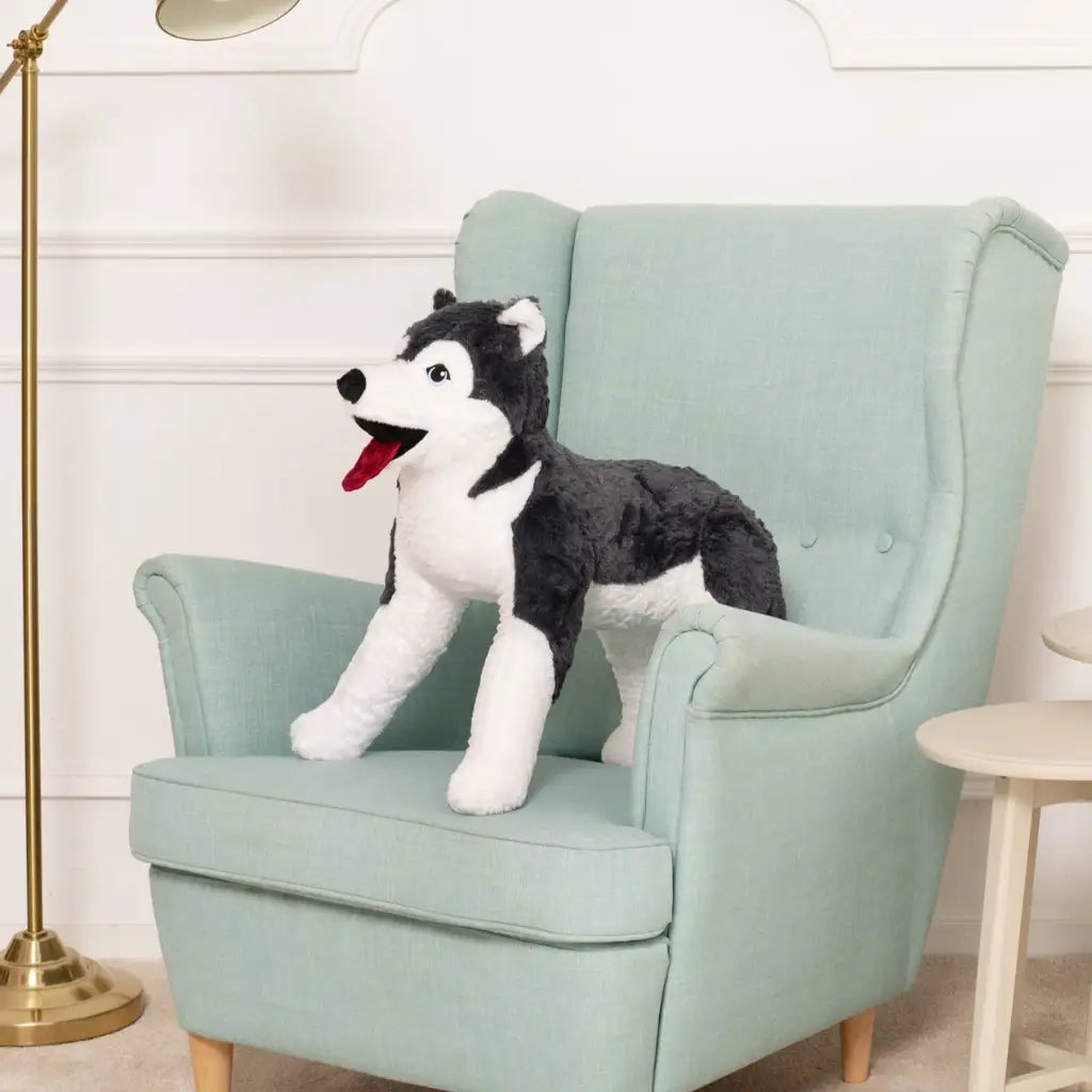 husky peluche