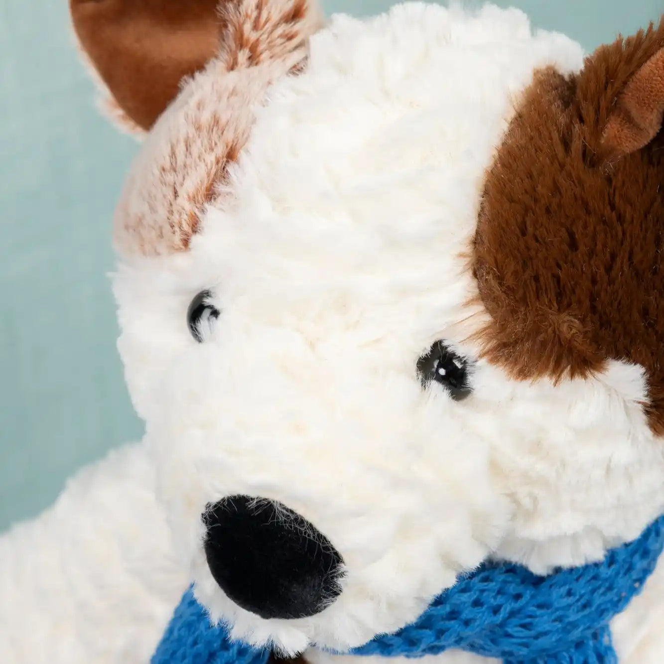 mignon chien peluche