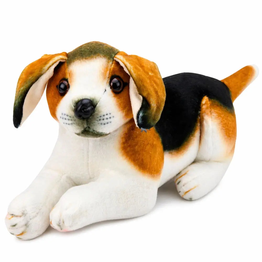 Peluche chien beagle de 25 cm