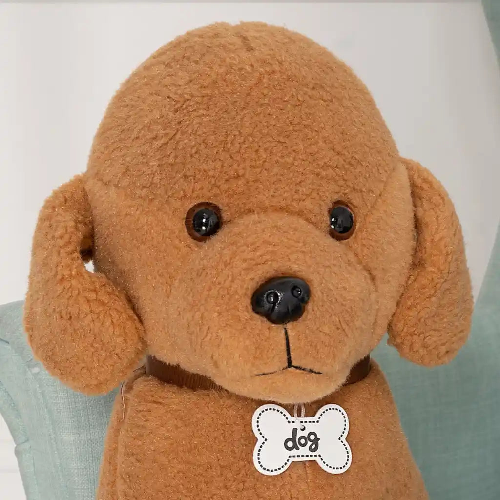 petit caniche peluche