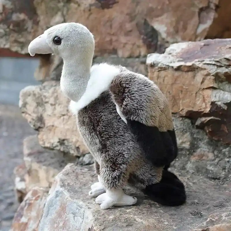 vulture cuddly