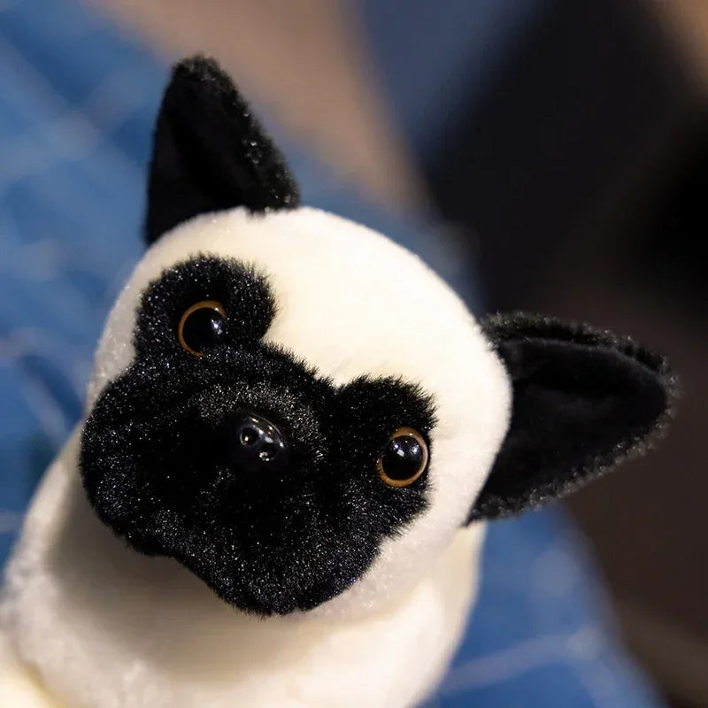 Peluche Chien Carlin - 20cm
