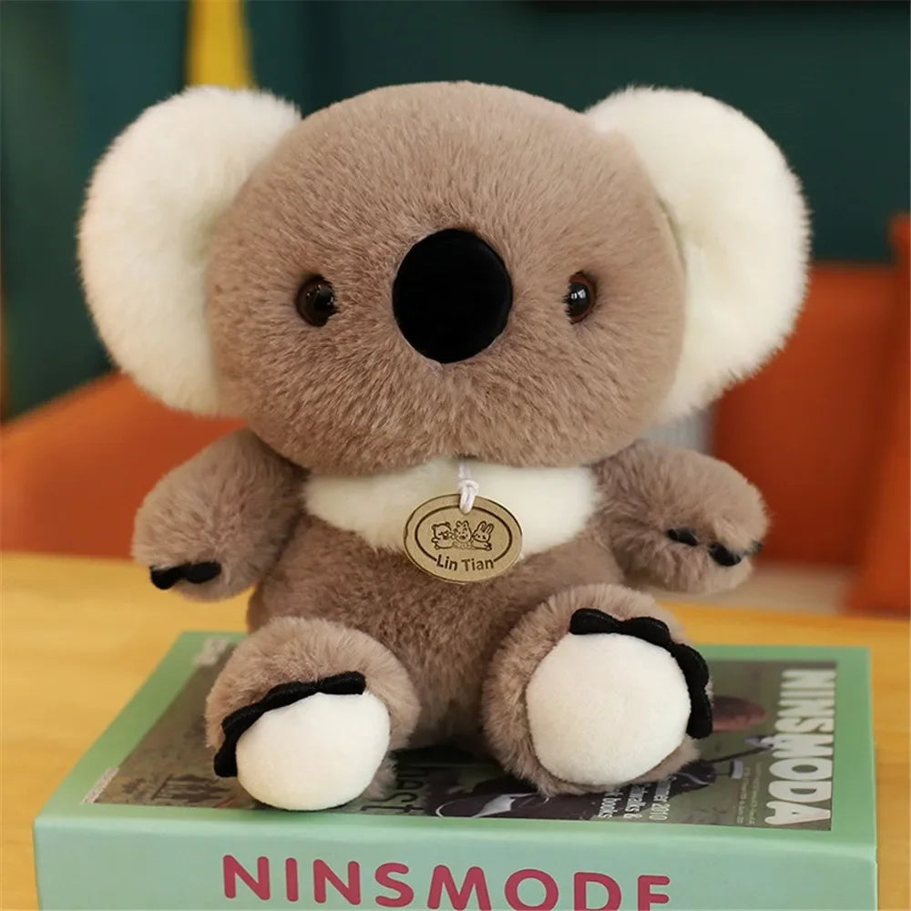 Kawaii Koala Plush - 25cm