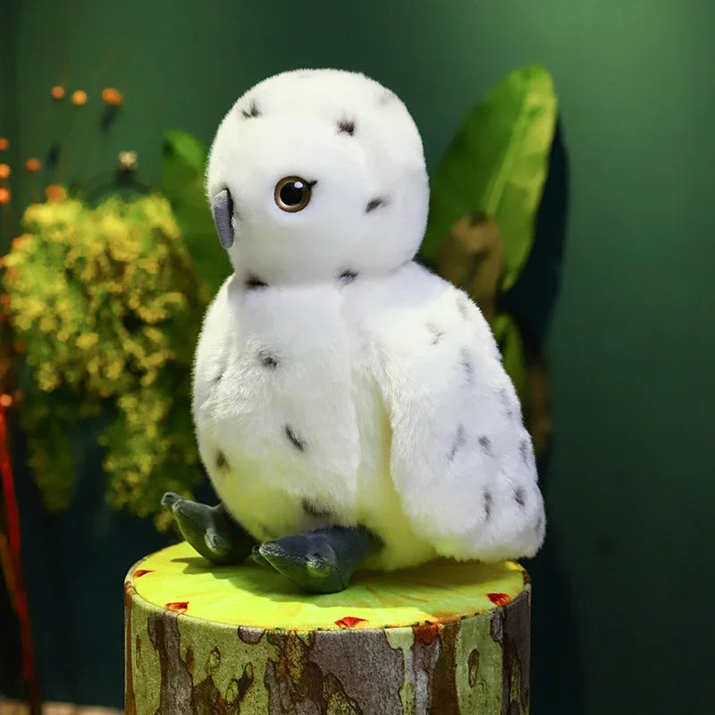 Night Owl Plush Toy - 25cm