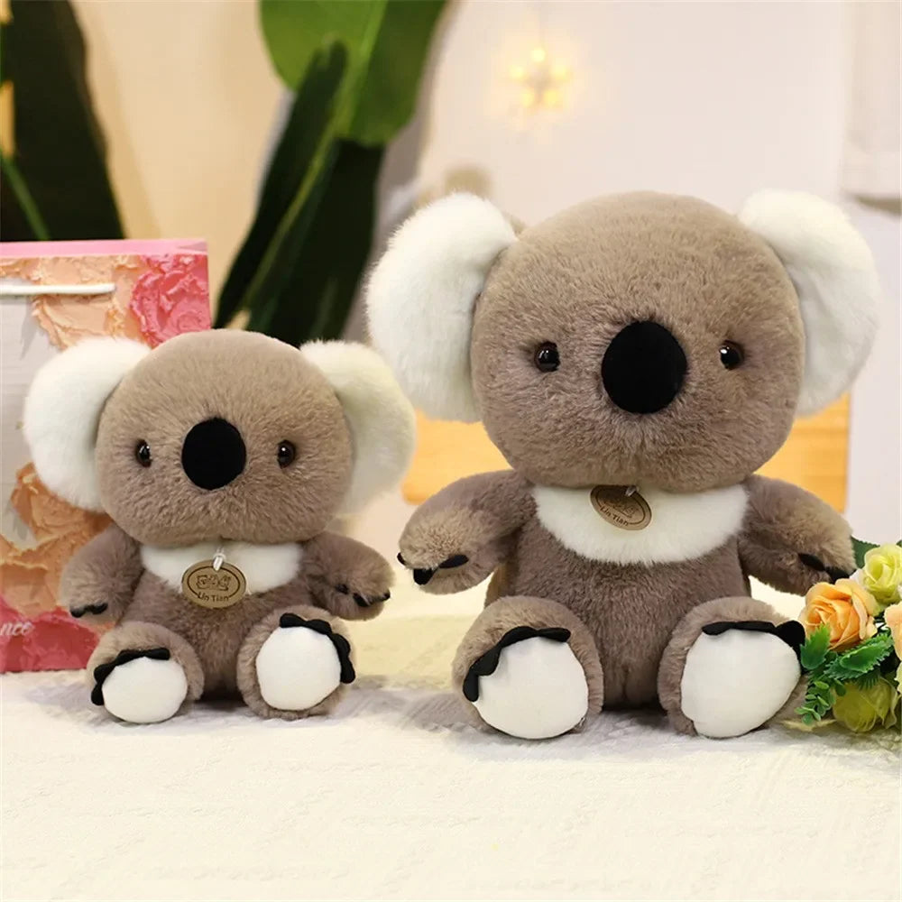 Kawaii Koala Plush - 25cm