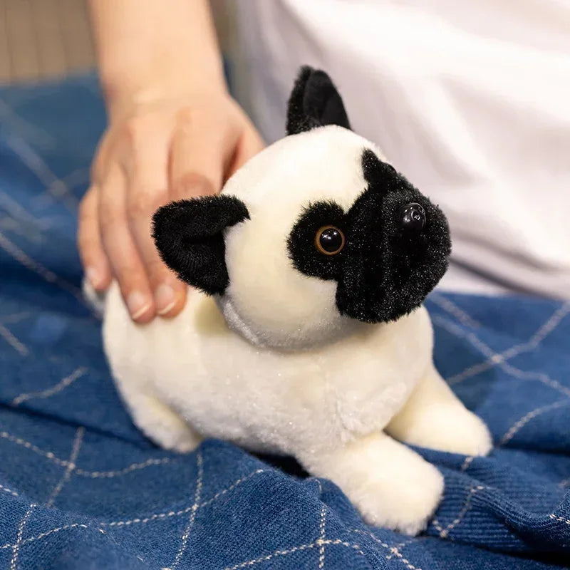 Peluche Chien Carlin - 20cm
