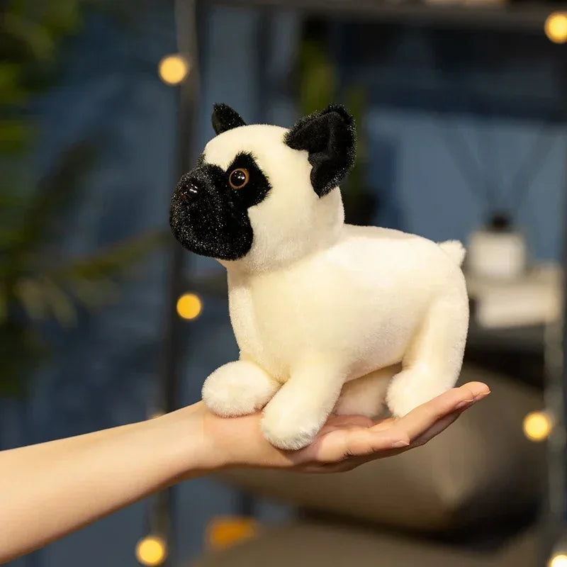 Peluche Chien Carlin - 20cm
