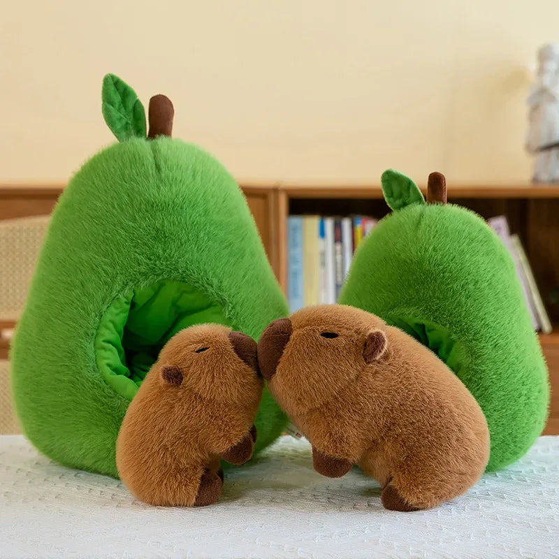 capybara peluche avocat