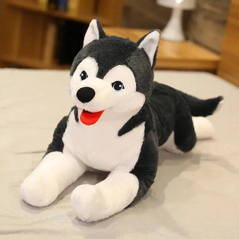 Husky de peluche on sale