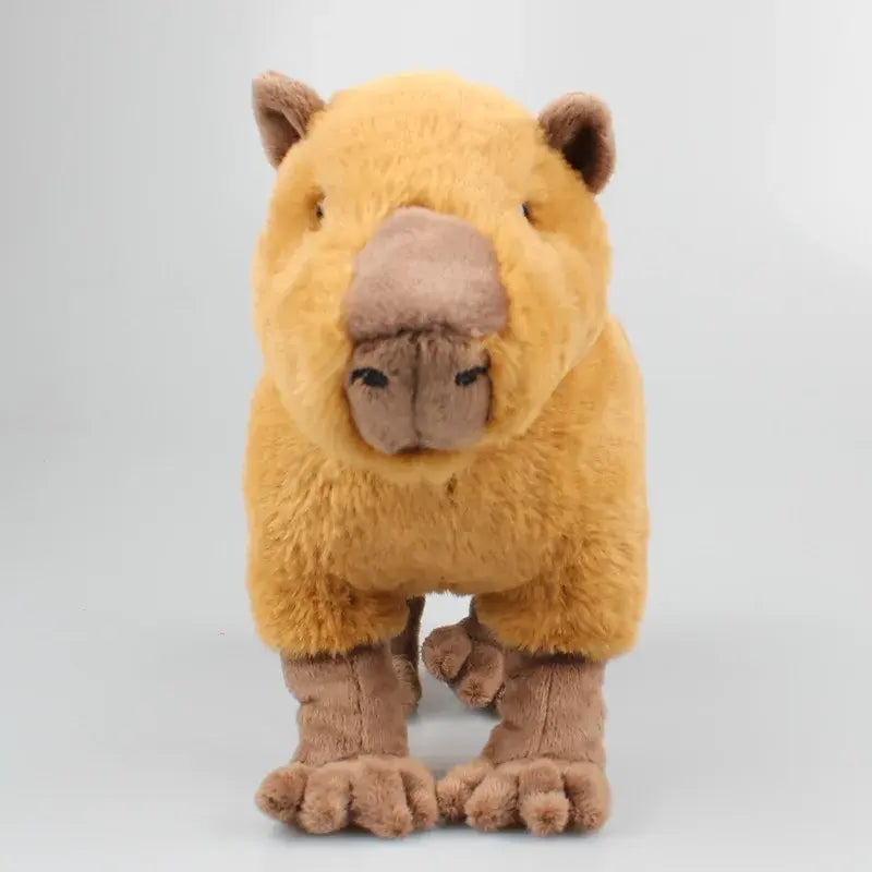 peluche capybara vue de face