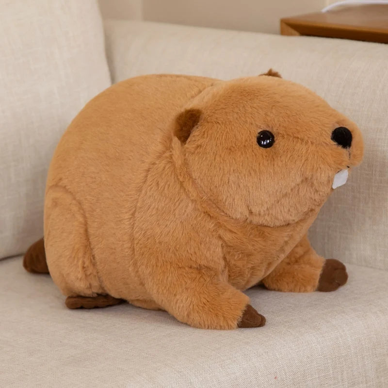 Beaver cuddly toy hotsell