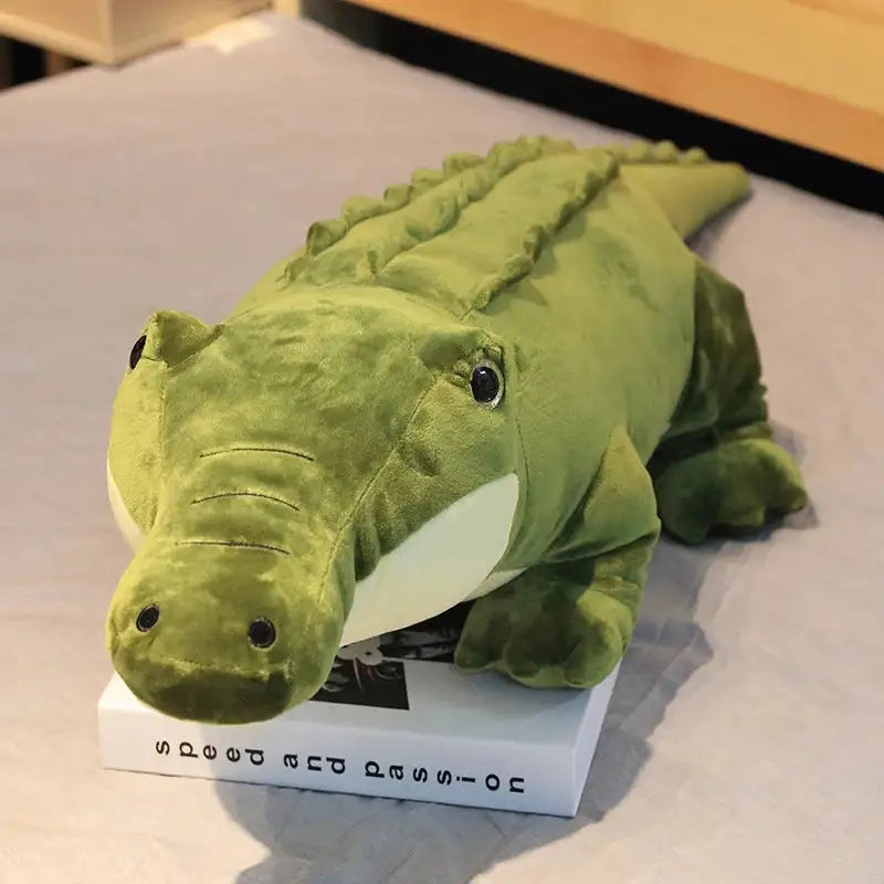 peluche crocodile attentif