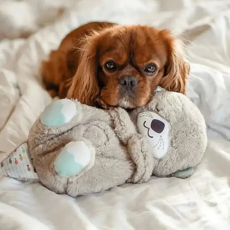 peluche loutre qui respire