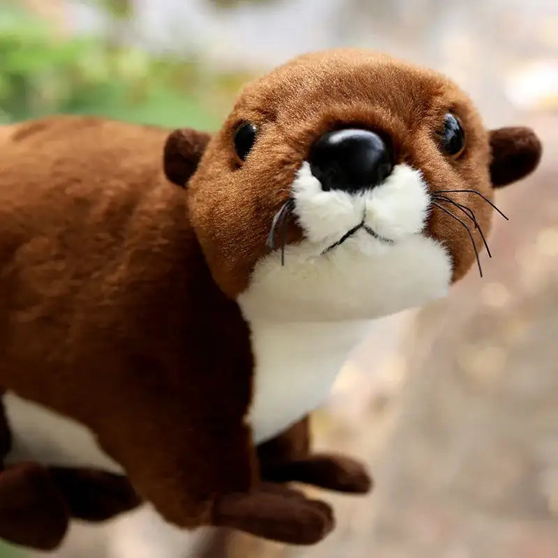 peluche loutre