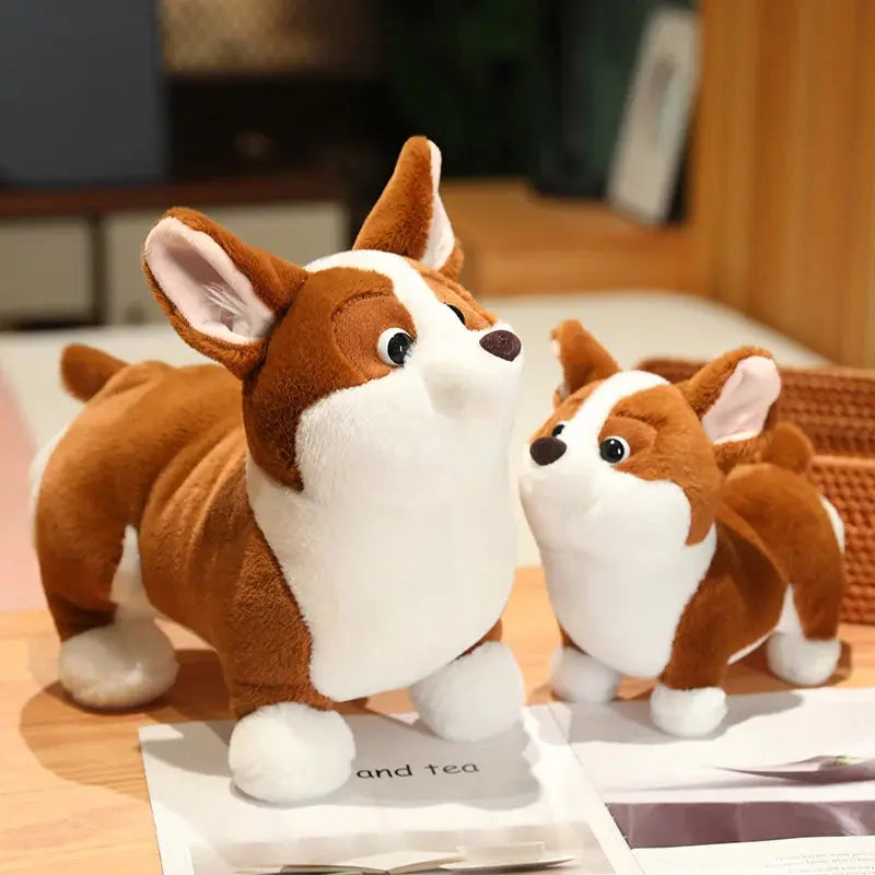 peluche mignonne corgi