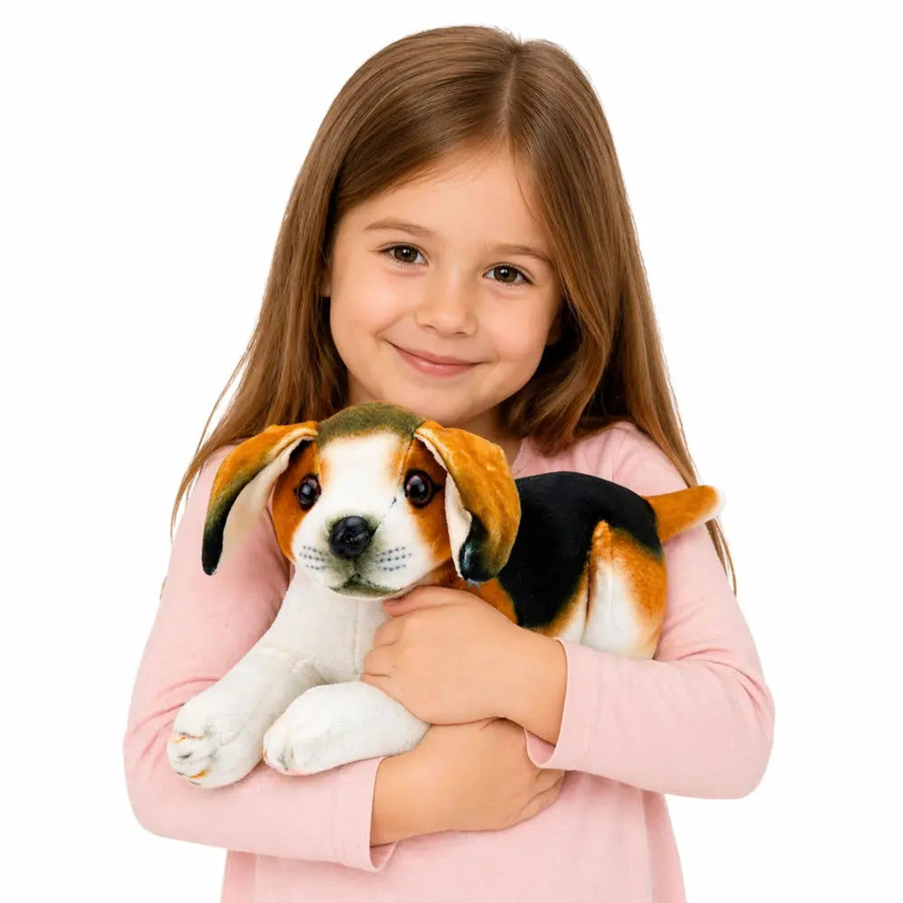 Peluche chien beagle de 25 cm