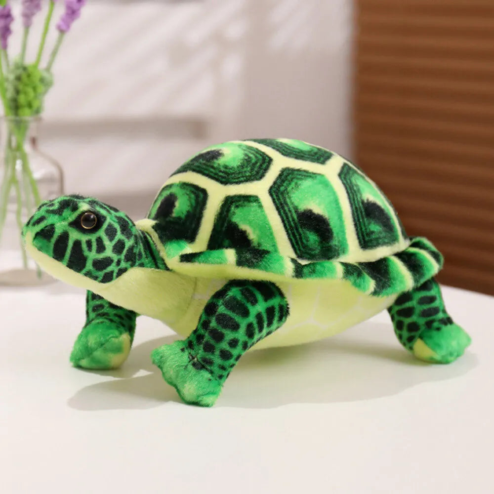 cute plush turtle