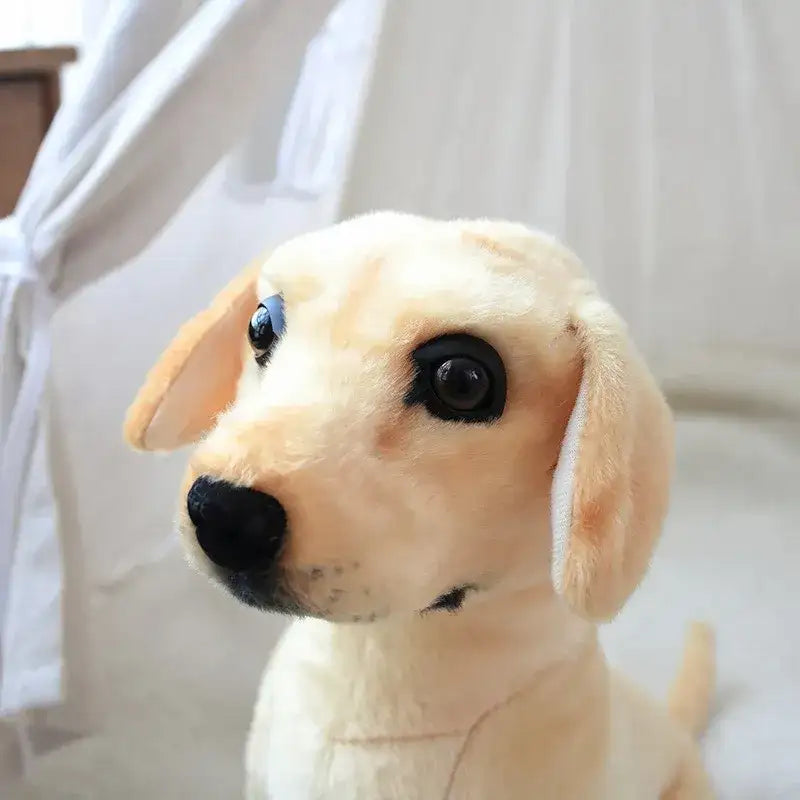 visage peluche golden retriever