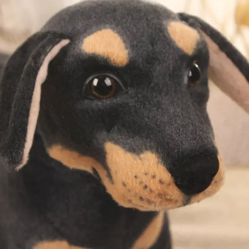 Rottweiler Plush 30 to 70cm Grande Peluche